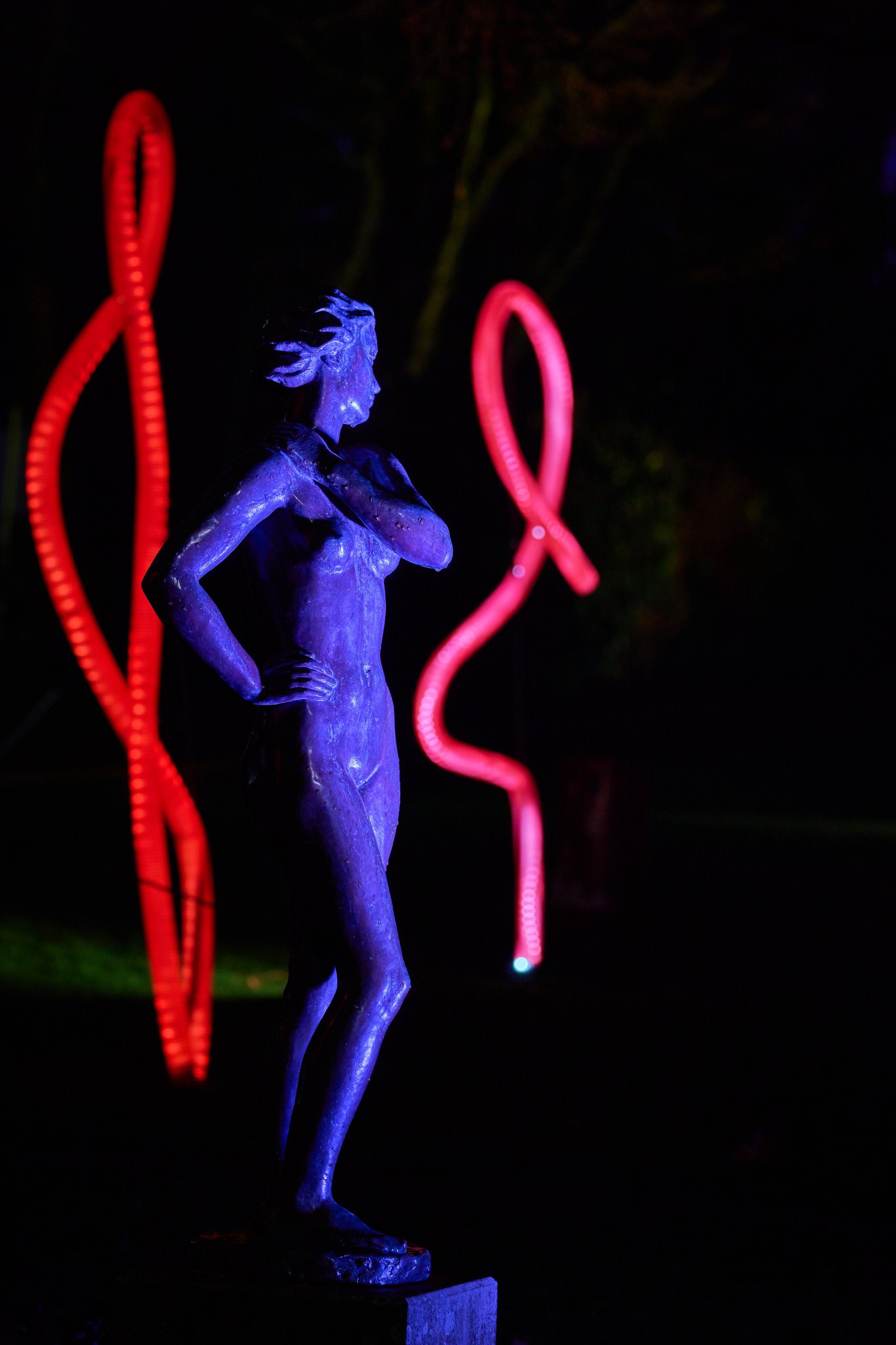 2026 02 03 Parkleuchten 0055